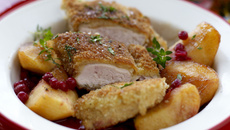 Pintade " NOVOSIbIRSK "