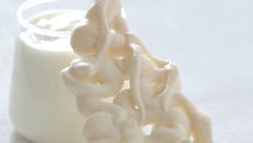 Froufrou de fromage blanc, dentelles croustillantes