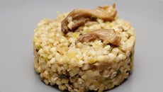 Sarrasotto aux pleurotes