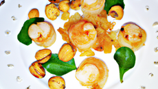 Noix de Saint-Jacques à la Provençale