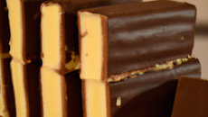 Bûches chocolat vanille