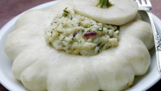 Risotto à la crème de pâtisson, oignons rouges et courgettes