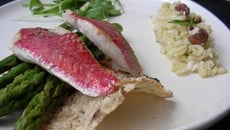 Rouget juste poêlé sur tuile de noisettes aux asperges, blé crémeux aux noisettes