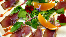 Carpaccio de canard, vinaigrette d'agrume, mesclun de salade au basilic