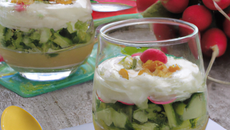 Verrines de crème de courgettes et radis croquants