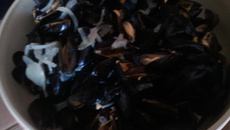 Moules marinières classiques