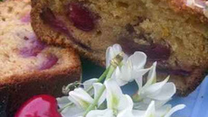 Cake au fleurs d'acacia, miel et cerises