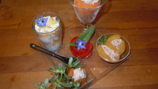 Les tour des Abricots en quatres saisons