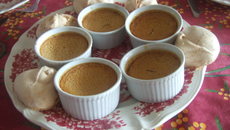 Crème brûlée à la chicorée