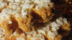 Biscuit aux flocons d'avoine