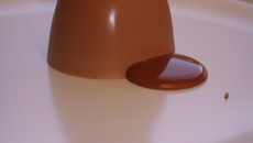 Crémeux au chocolat praliné