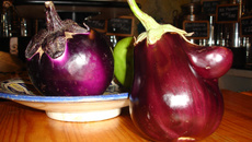 Aubergine Oliviera