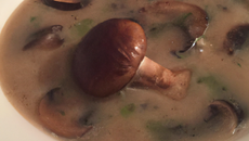 Potage de cèpes
