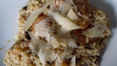 Risotto aux scampis