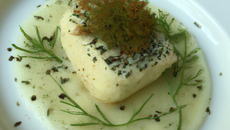 Pavé de lieu, brandade de céleri et fenouil, jus anisé