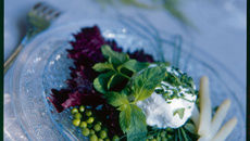 Fond de petits pois dans leur jus tiède à la menthe infusée et chèvre