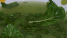 Soupe de cresson classique