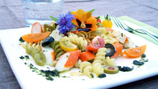 Festy Fusillis bâtonnets Saveur Coraya