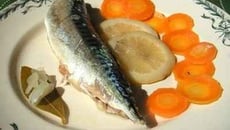 Maquereaux marinés au vin blanc