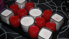 Verrines au saumon et aneth
