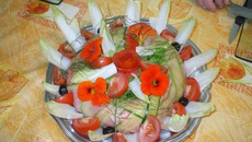 Terrine au 2 saumons en gelée