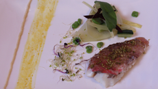 Filet de rouget vapeur, méli-mélo de légumes, crème de pois chiches et réduction orange / olive