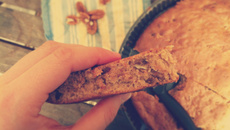 Douceurs aux miel, dattes et noix de pécan