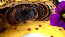 Torsade moutarde Amora graines de pavot.