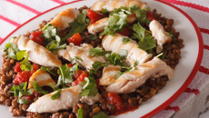 Salade de lentilles au poulet