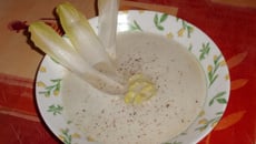 Veloutés d'endive à la crème