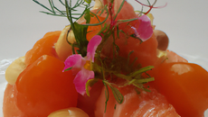 Spécial saumon fumé