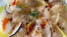 Carpaccio de Saint-Jacques facile, herbes fraîches et radis noir