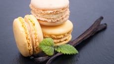 Macaron vanille