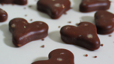 Petits cœurs au chocolat
