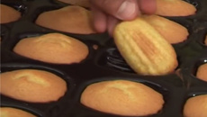 Madeleines