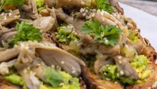 Toast à l’avocat et aux pleurotes à l’ail