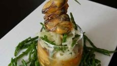 Moules au safran en aspic, salade croquante de fenouil et salicorne