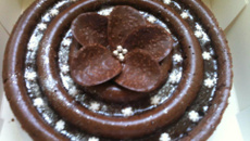 Gâteau moelleux choco choco