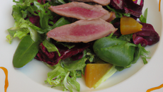 Duck salade