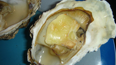 Huîtres chaudes au champagne et camembert selon jerôme