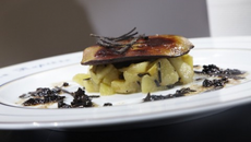 Parmentier de canard aux truffes