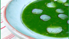 Soupe de fanes de radis, tapioca