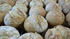 Pain de campagne au four