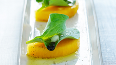 Tapa de kaki persimon et feuille d'huitre végétale