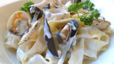 Tagliatelles fraîches maison, coquillages et crème de Roquefort