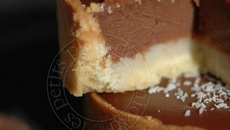 Tartelettes au chocolat au lait et passion sur lit de coco