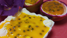 Île flotante et fruits de la passion