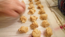 Croquants de l'Ecureuil