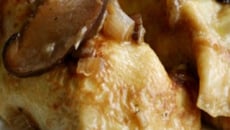 Cannelloni de crespelles aux endives frisées et sauce aux champignons mixtes