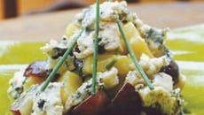 Salade tiède de primeurs du Roussillon aux éclats de roquefort vieux